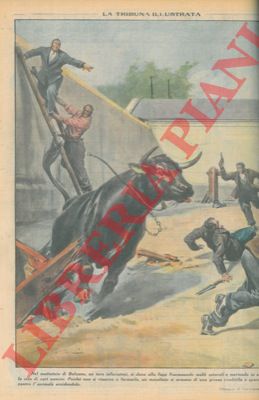 PISANI Vittorio - - Nel mattatoio di Bolzano, un toro infuriatosi, si dava alla fuga fracassando molti ostacoli e mettendo in serio pericolo la vita di vari uomini. Poich non si riusciva a fermarlo, un macellaio si armava di una grossa rivoltella e sparava tre colpi contro l'animale uccidendolo.