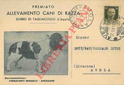 Allevamento Cani di Razza. Sorbo di Tagliacozzo (L'Aquila) - - Cocker spaniel.