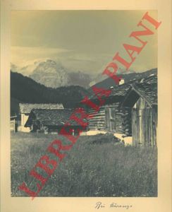 - - Auronzo