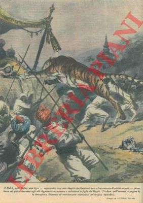 PISANI Vittorio - - In India una tigre riesce a superare uno sbarramento di soldati armati e salta sul palco delle autorit azzannando la figlia del Rajah.