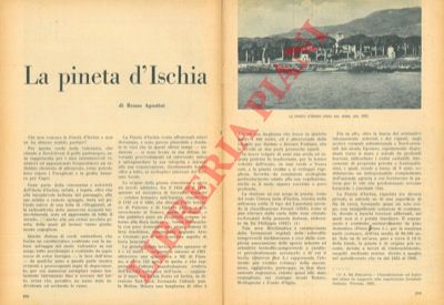 AGOSTINI Renzo - - La pineta d'Ischia.