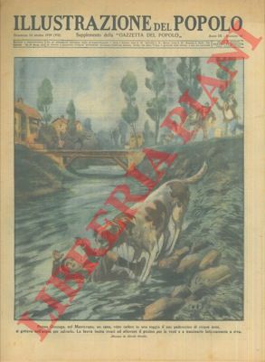 Ortelli A. - - Cane salva padroncino caduto in una roggia a Gonzaga.