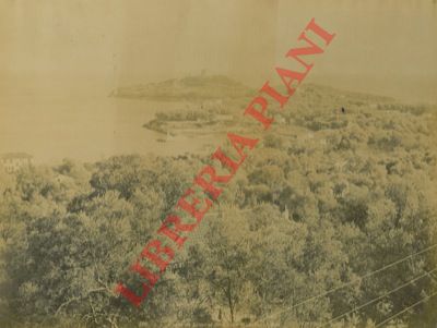 ND Phot - - Route du Littoral de Nice  Monaco - Eze.