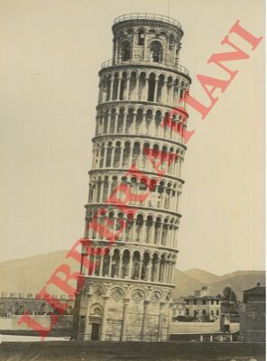 - - Pisa. Campanile del Duomo.