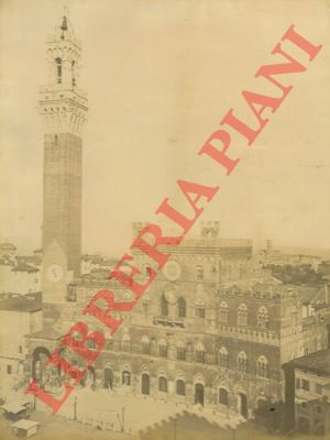 - - Siena. Torre del Mangia e Piazza del Campo.