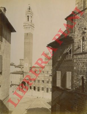 - - Siena. Torre del Mangia e Piazza del Campo.