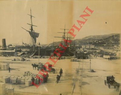 - - Trieste, Miramare.