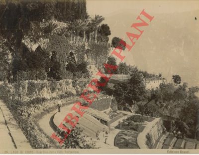 Grandi - - Lago di Como. Giardino di Villa Serbelloni.