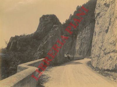 - - Strada del Passo della Mendola.