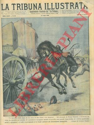 Pisani V. - - A Cremona un leone fuggito da un circo assale un cavallo, ma viene respinto a calci.