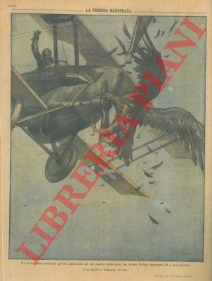 Pisani V. - - Aereo greco viene 