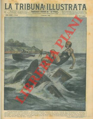 Pisani V. - - In Australia un bagnante viene assalita da uno squalo ma  salvata da una barca vicina.