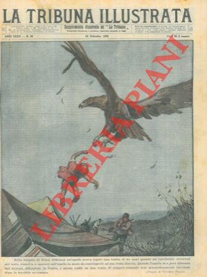 Pisani V. - - A Odessa un' aquila cattura una bambina di tre anni, ma viene costretta a fucilate a mollare la presa.