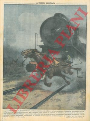 Pisani V. - - Cavallo abbandonato dal padrone corre dietro al suo treno per parecchi chilometri, costringendo l'interessato a scendere per calmarlo.