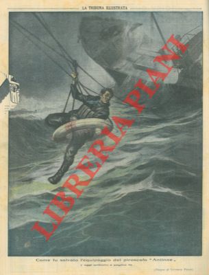 Pisani V. - - Salvato l'equipaggio del piroscafo Antinoe.