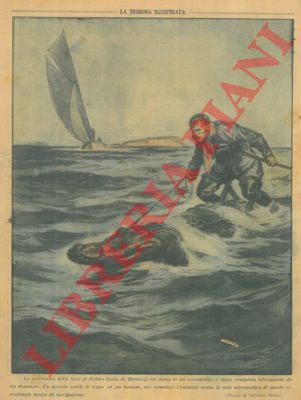 Pisani V. - - Traversata della Baia di Palma de Maiorca a dorso di un coccodrillo.