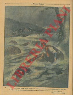 Pisani V. - - Nelle Isole Fidji mentre alcune donne si trovavano a bogno vengono aggredite da una piovra gigate.