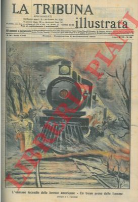 DALMONTE L. - - Un treno preso dalle fiamme.