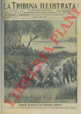 MINARDI A. - - L'esercito romeno ha attraversato il Danubio costringendo alla ritirata le truppe austro-ungariche.