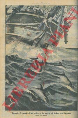 DALMONTE L. - - La caccia al delfino con l'arpione.