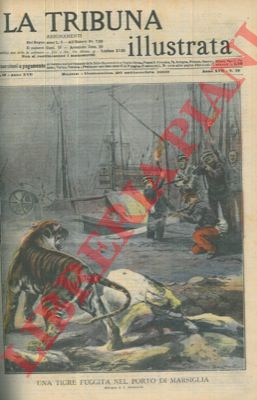 DALMONTE L. - - Una tigre fuggita dal porto di Marsiglia.