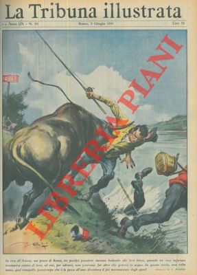Pisani V. - - Toro infuriato ad Aniene travolge tre pacifici pescatori.