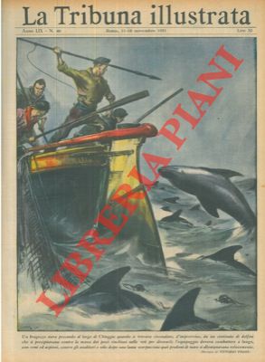 Pisani V. - - Un bragozzo che stava pescando al largo di Chioggia si trova circondato di delfini.