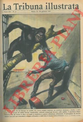 Pisani V. - - Al Lincoln Zoo di Chicago un gorilla assale il guardiano.