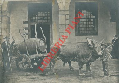 - - Carro con botte di porto (Sandeman)