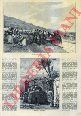 - - Bordighera. Pescatori di sardine, dalla riva. - Pozzo artesiano con somaro,