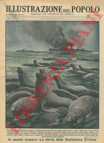 MOLINARI Aldo - - Una delle pi curiose migrazioni di animali,  lo spostamento annuo delle foche che, quando comincia la buona stagione, abbandonano le acque tropicali americane e puntano verso le coste dell'Alaska, compiendo un viaggio di circa quattromila miglia.