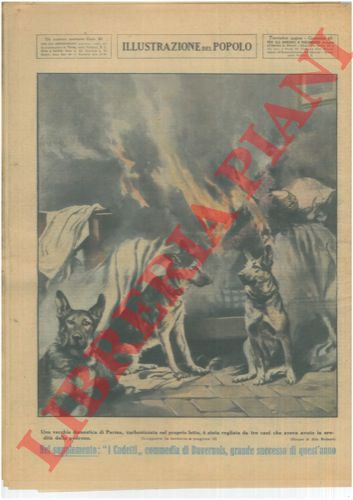 MOLINARI Aldo - - Una vecchia domestica di Parma, carbonizzata nel proprio letto,  stata vegliata da tre cani che aveva avuto in eredit dalla padrona.