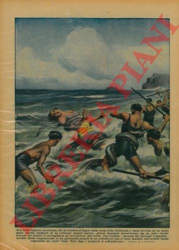 BELTRAME A. - - Signora americana, che si trovava ai bagni sulla costa della California, avvolta dagli enormi tentacoli di un colossale mostro marino, il quale con un altro braccio avvinghia anche un soccorritore. Evita la tragedia un ragazzo armato di coltello che lo colpisce nei punti vitali.