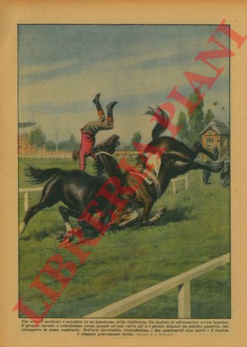 BELTRAME A. - - Durante un allenamento in un ippodromo, un fantino sul proprio cavallo, si scontrava con un puledro spaurito: i due quadrupedi sono morti ed il fantino  rimasto gravemente ferito.