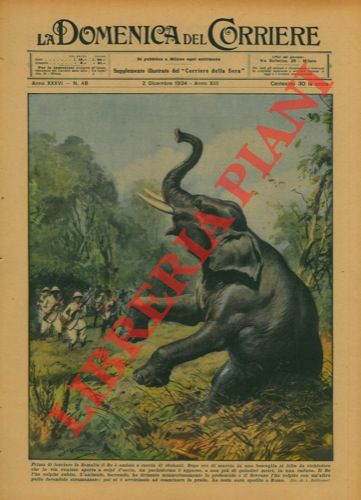 BELTRAME A. - - Il Re, in Somalia,  durante la caccia all'elefante.