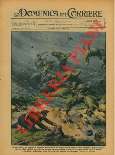 BELTRAME A. - - Un ciclone di violenza eccezionale investiva un gregge, lo sconvolgeva e sollevava in aria quasi tutte le pecore sotto gli occhi di un pastore terrorizzato.