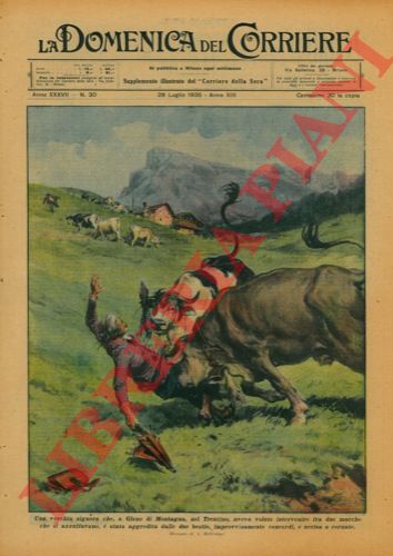 BELTRAME A. - - Una vecchia signora che, a Gleno di Montagna, aveva voluto interferire nella zuffa tra due mucche,  stata aggredita dalle due bestie concordi e uccisa a cornate.