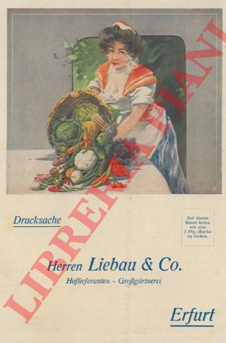 - - Liebau & Co. Erfurt.