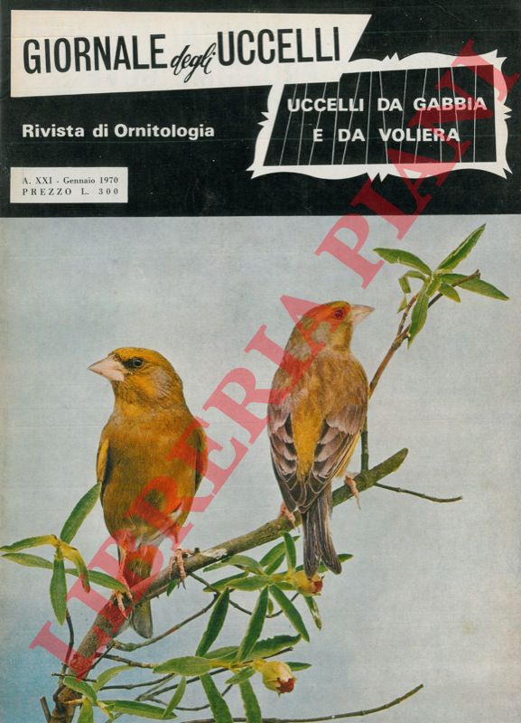 - - Giornale degli uccelli. Rivista di ornitologia.