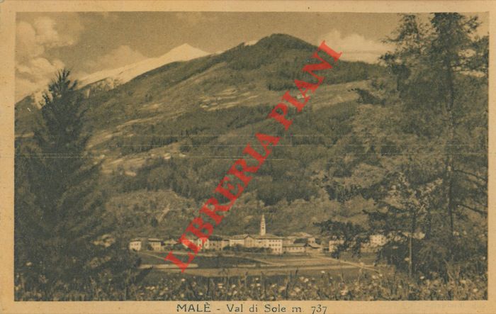 - - Mal. Val di Sole.