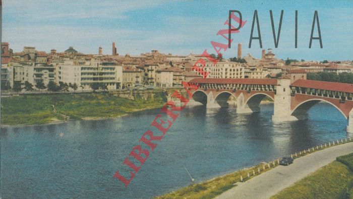 - - Pavia.
