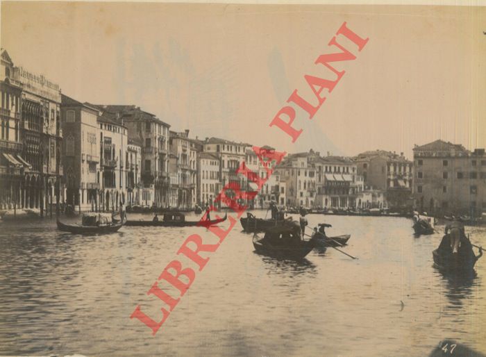 - - Venezia. Canal Grande con gondole - Canal Grande con Palazzo Ducale, Campanile, ecc.