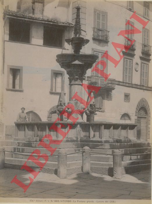 Alinari - - Viterbo. La Fontana grande.