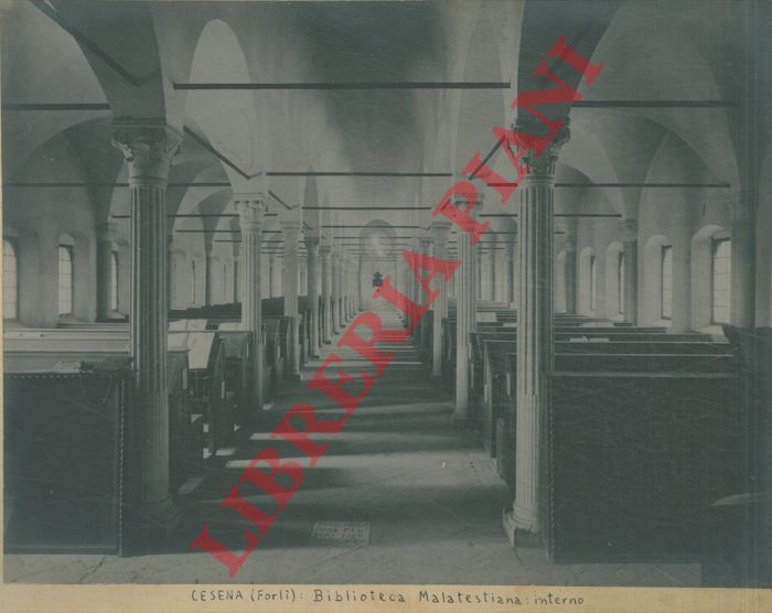 - - Cesena. Biblioteca Malatestiana, interno.