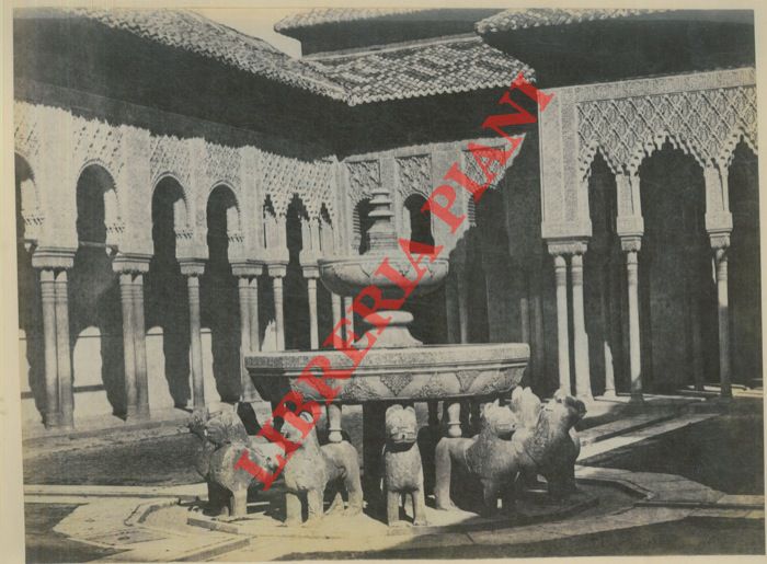 - - Granada. Alhambra. Cortile e fonte dei leoni (3), dettagli.