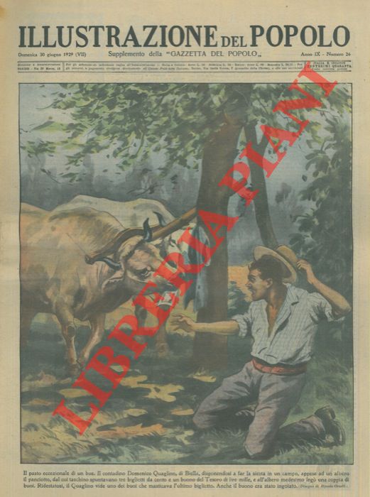 ORTELLI Alfredo - - Il pasto eccezionale di un bue. Il contadino Domenico Quaglino, di Biella, disponendosi a far la siesta in un campo, appese ad un albero il panciotto, dal cui taschino spuntavano tre biglietti da cento e un Buono del Tesoro di lire mille, e all'albero medesimo leg una coppia di buoi. Ridestatosi, il Quaglino vide uno dei buoi che masticava l'ultimo biglietto. Anche il buono era stato ingoiato.