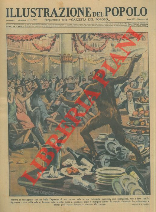 ORTELLI Alfredo - - Mentre si festeggiava con un ballo l'apertura di una nuova sala in un ristorante parigino, uno scimpanz, rotti i ferri che lo legavano, entr nella sala e, balzato sulla tavola, prese a scagliare piatti e bottiglie contro le coppie danzanti.