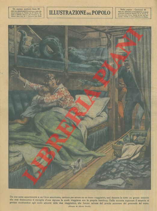 ORTELLI Alfredo - - Da una cassa appartenente a un Circo americano, caricata per errore su un treno viaggiatori, usc