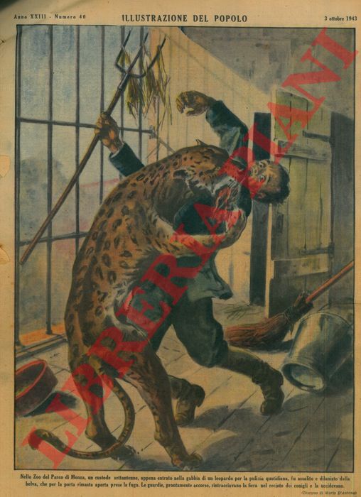 RAIMONDI Aldo - - Presso Singapore un pescatore, mentre tirava la rete, vide avvicinarsi un grosso squalo che cercava di impadronirsi del pesce catturato... .