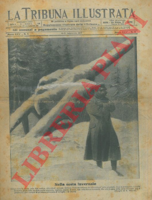MINARDI A. - - Nella sosta invernale. Lungo tutta la fronte, sulle Alpi contese, abbondanti nevicate limitano l'attivit bellica a tiri intermittenti delle artiglierie.